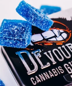 Devour Blue Raspberry Gummies
