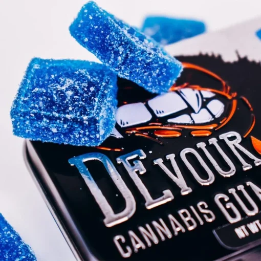 Devour Blue Raspberry Gummies