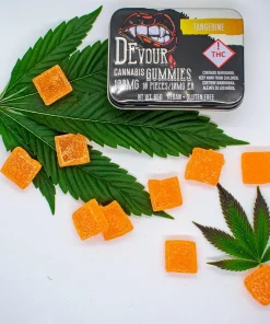 Devour Gummies Tangerine