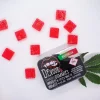 Devour Watermelon Gummies 1:1