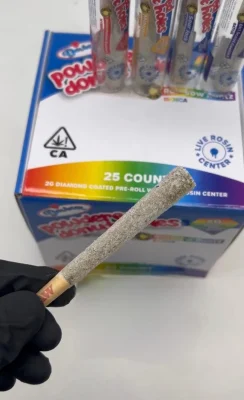 Devour Powdered Donut Holes 2g